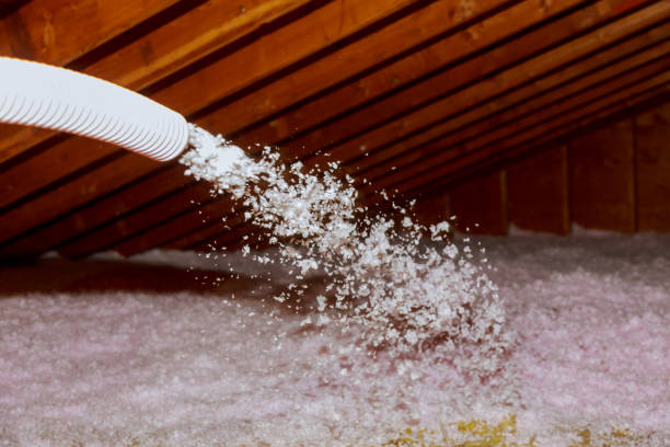 Types of Insulation We Offer in CA