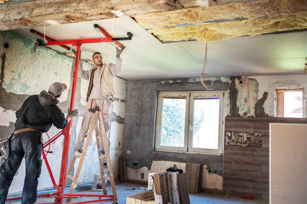 Best Insulation for Specific Applications in Coto De Za, CA