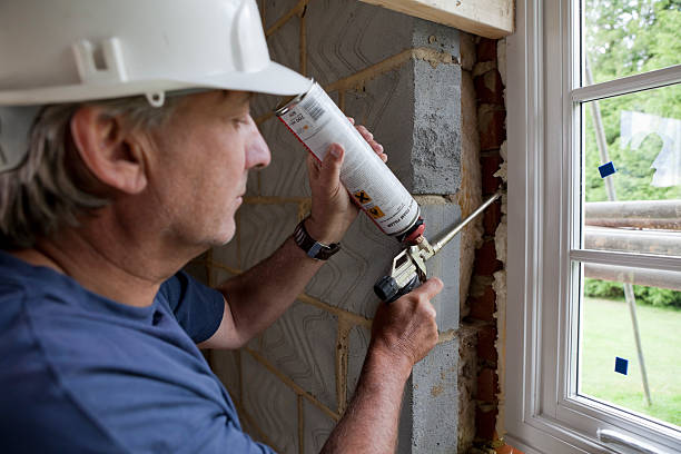 Best Insulation Maintenance and Repair in Coto De Za, CA